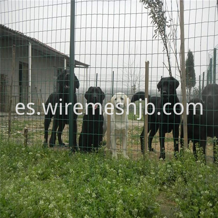 PVC Coated Welded Wire Mesh Fencing
